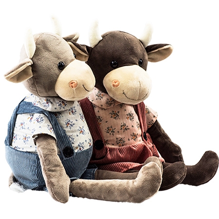 Новогодний подарок Поль и Полина